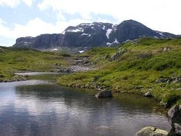 Hardangervidda