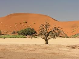 Namib Wüste