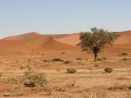 Namib Wüste