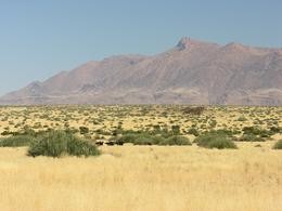 Straue vor dem Brandberg