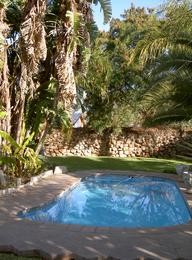 Im Bush Pillow Guest House