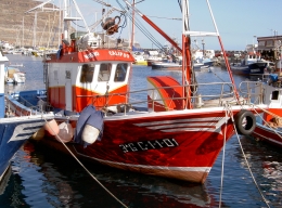 Im Hafen