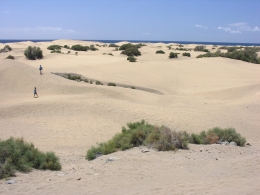 Dnen von Maspalomas