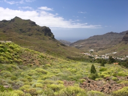 Berglandschaft