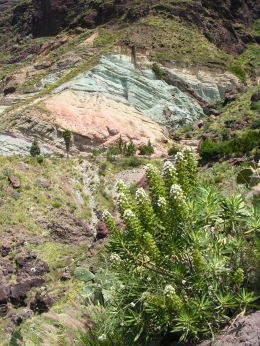 Los Azulejos