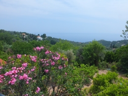 Blick von der Caf-Terrasse