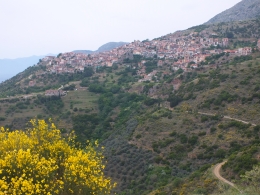 Aranova