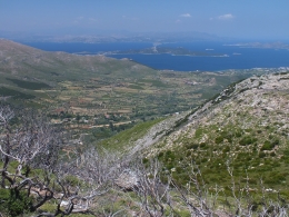 Blick zum Meer