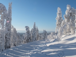 Weg ins Tal