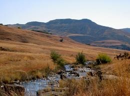 Drakensberge
