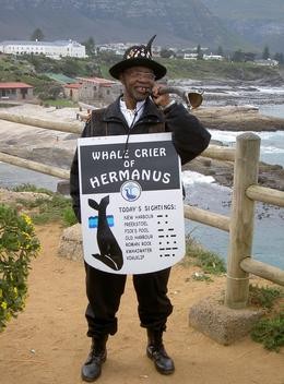 Whale Crier