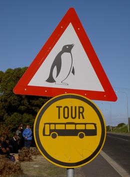 Achtung, Pinguine